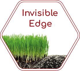 Edge option 3
